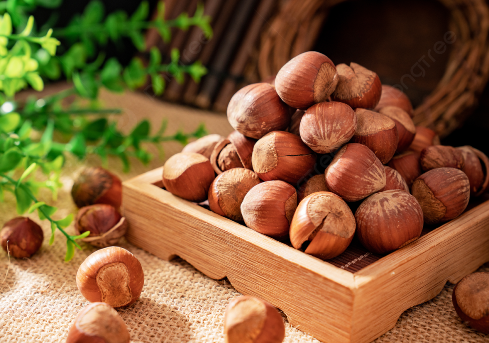 Inshell Hazelnut