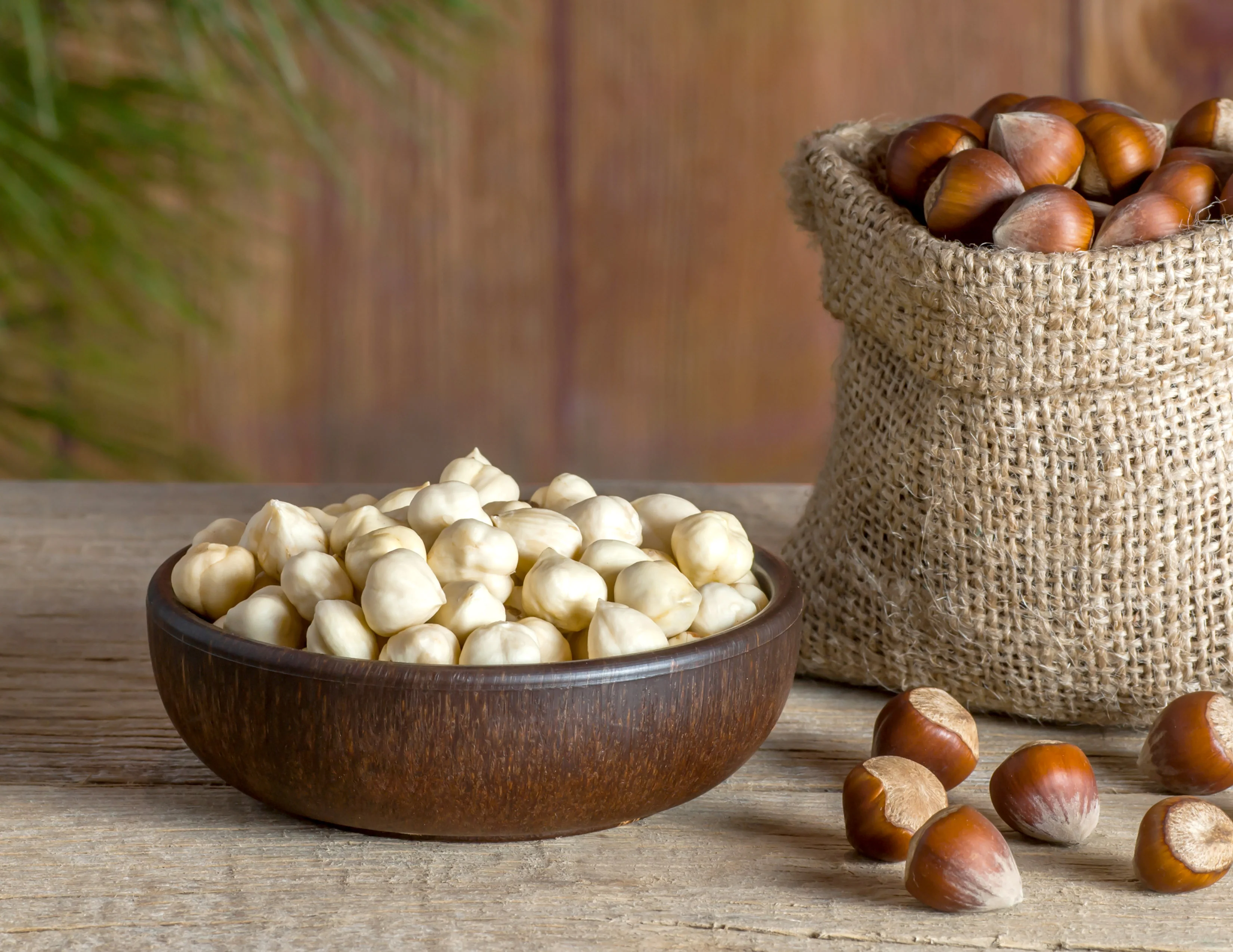 Hazelnut 