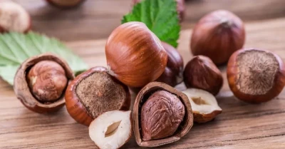 Inshell Hazelnut