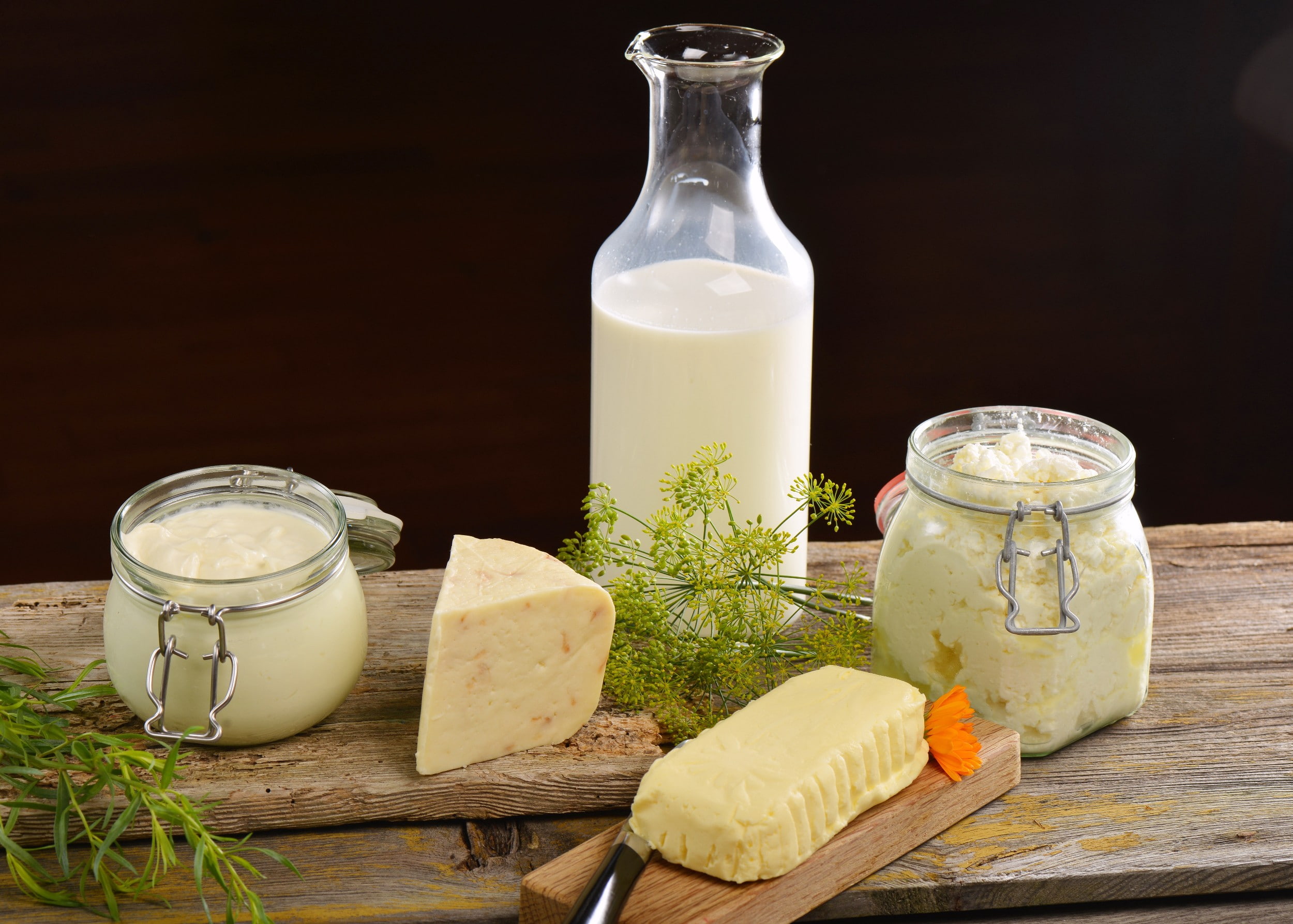 Dairy 